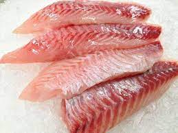 RED SNAPPER FILLET