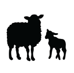 Goat/lamb/mutton